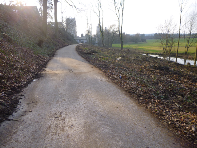 Gerodeter Mühlwald in Büdesheim