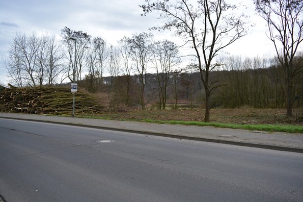 Bereits gerodetes Grundstück an der Kilianstädter Straße