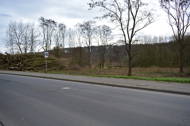 Bereits gerodetes Grundstück an der Kilianstädter Straße